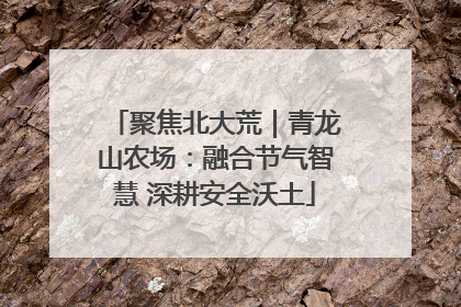 聚焦北大荒｜青龙山农场：融合节气智慧 深耕安全沃土
