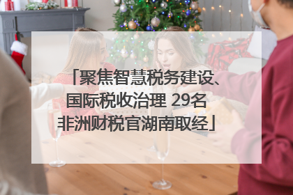聚焦智慧税务建设、国际税收治理 29名非洲财税官湖南取经