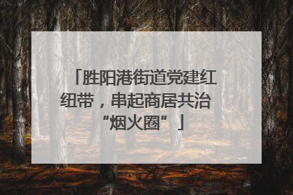 胜阳港街道党建红纽带，串起商居共治 “烟火圈”