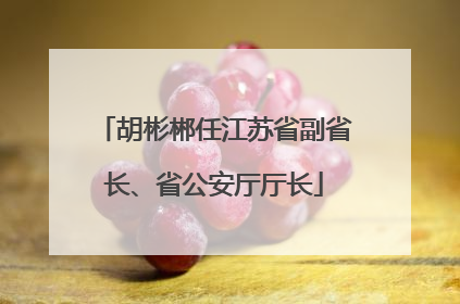 胡彬郴任江苏省副省长、省公安厅厅长