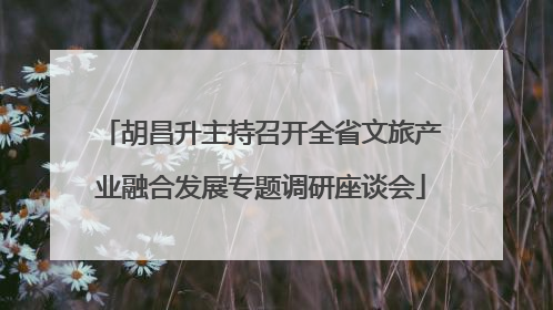 胡昌升主持召开全省文旅产业融合发展专题调研座谈会