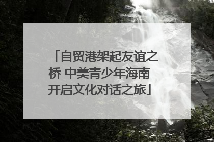 自贸港架起友谊之桥 中美青少年海南开启文化对话之旅
