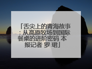 舌尖上的青海故事：从高原牧场到国际餐桌的进阶密码 本报记者 罗 珺