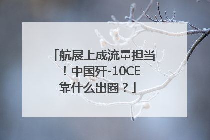 航展上成流量担当！中国歼-10CE靠什么出圈？