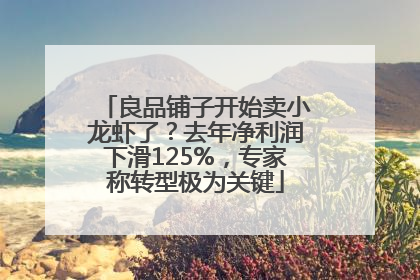 良品铺子开始卖小龙虾了？去年净利润下滑125%，专家称转型极为关键