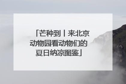 芒种到丨来北京动物园看动物们的夏日纳凉图鉴