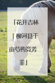 花开吉林｜柳河县千亩芍药竞芳菲
