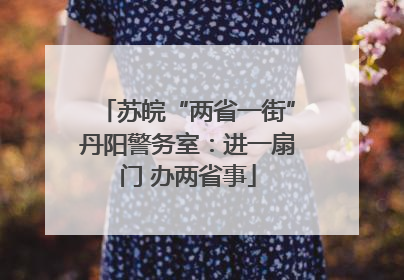 苏皖“两省一街”丹阳警务室：进一扇门 办两省事