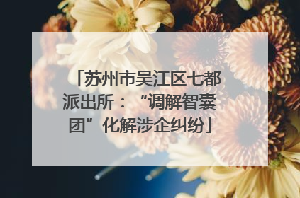 苏州市吴江区七都派出所：“调解智囊团”化解涉企纠纷
