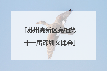 苏州高新区亮相第二十一届深圳文博会