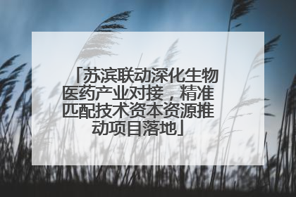苏滨联动深化生物医药产业对接，精准匹配技术资本资源推动项目落地