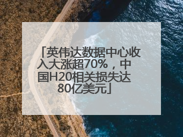 英伟达数据中心收入大涨超70%，中国H20相关损失达80亿美元