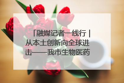 融媒记者一线行｜从本土创新向全球进击——我市生物医药产业破茧突围