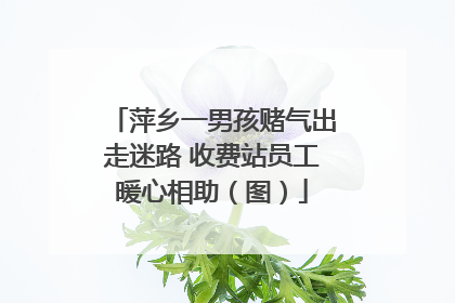 萍乡一男孩赌气出走迷路 收费站员工暖心相助（图）