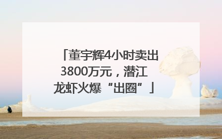 董宇辉4小时卖出3800万元，潜江龙虾火爆“出圈”