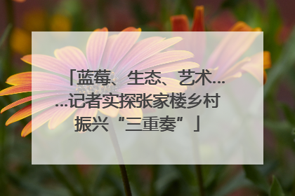 蓝莓、生态、艺术……记者实探张家楼乡村振兴“三重奏”