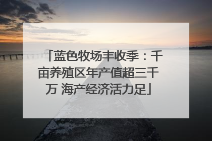 蓝色牧场丰收季：千亩养殖区年产值超三千万 海产经济活力足