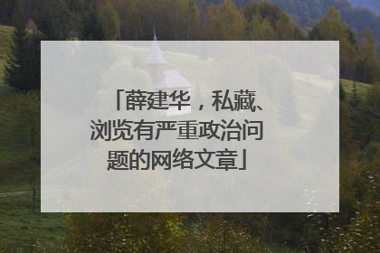 薛建华，私藏、浏览有严重政治问题的网络文章