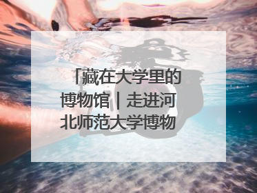 藏在大学里的博物馆｜走进河北师范大学博物馆天地科学馆：在校园里赴一场“宇宙之约”