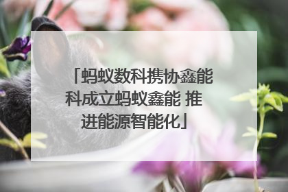 蚂蚁数科携协鑫能科成立蚂蚁鑫能 推进能源智能化
