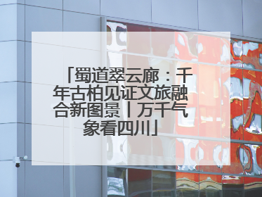 蜀道翠云廊：千年古柏见证文旅融合新图景丨万千气象看四川