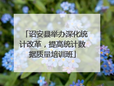 诏安县举办深化统计改革，提高统计数据质量培训班
