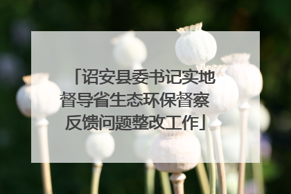 诏安县委书记实地督导省生态环保督察反馈问题整改工作