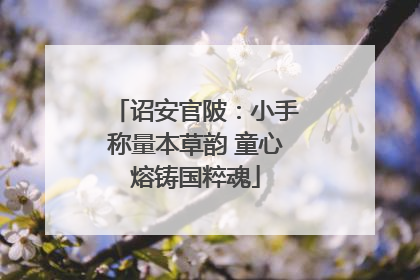 诏安官陂：小手称量本草韵 童心熔铸国粹魂