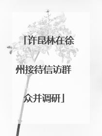许昆林在徐州接待信访群众并调研