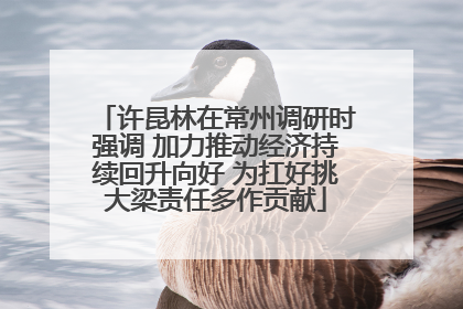 许昆林在常州调研时强调 加力推动经济持续回升向好 为扛好挑大梁责任多作贡献