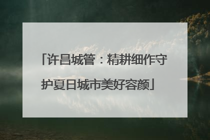 许昌城管：精耕细作守护夏日城市美好容颜