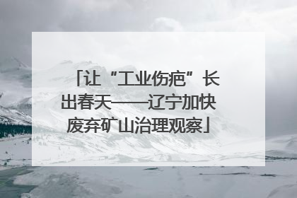 让“工业伤疤”长出春天——辽宁加快废弃矿山治理观察