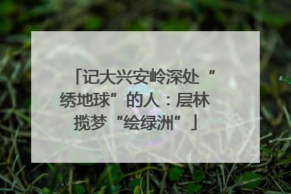 记大兴安岭深处“绣地球”的人：层林揽梦“绘绿洲”