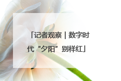 记者观察｜数字时代“夕阳”别样红