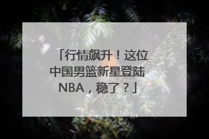 行情飙升！这位中国男篮新星登陆NBA，稳了？