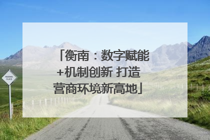 衡南：数字赋能+机制创新 打造营商环境新高地