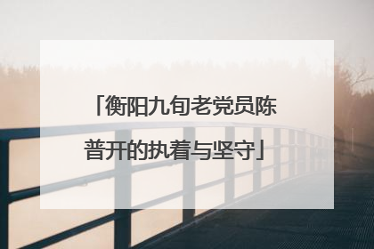 衡阳九旬老党员陈普开的执着与坚守