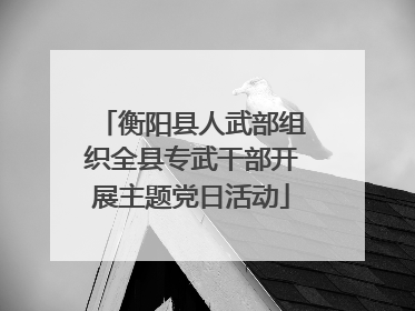 衡阳县人武部组织全县专武干部开展主题党日活动