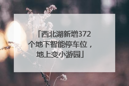 西北湖新增372个地下智能停车位，地上变小游园