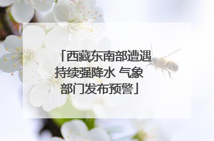 西藏东南部遭遇持续强降水 气象部门发布预警