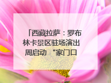 西藏拉萨：罗布林卡景区驻场演出周启动 “家门口”享文化盛宴