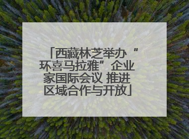 西藏林芝举办“环喜马拉雅”企业家国际会议 推进区域合作与开放