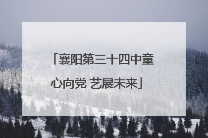 襄阳第三十四中童心向党 艺展未来