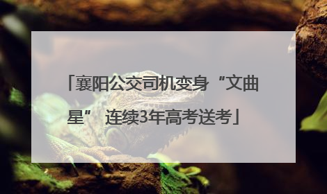 襄阳公交司机变身“文曲星” 连续3年高考送考