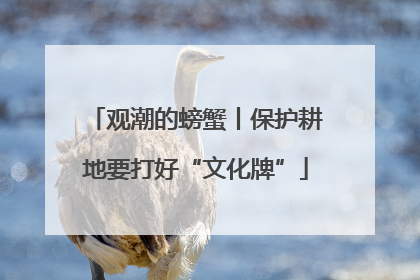 观潮的螃蟹丨保护耕地要打好“文化牌”