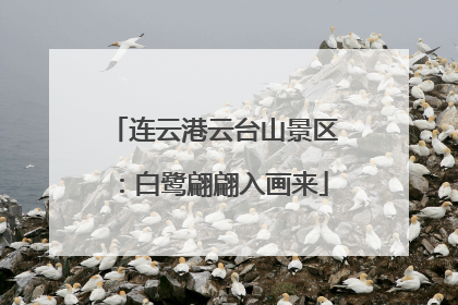 连云港云台山景区：白鹭翩翩入画来