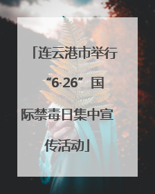 连云港市举行“6·26”国际禁毒日集中宣传活动