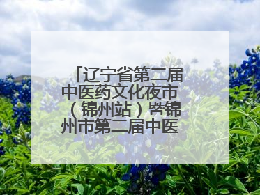 辽宁省第二届中医药文化夜市（锦州站）暨锦州市第二届中医康养夜市启幕