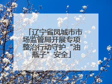 辽宁省凤城市市场监管局开展专项整治行动守护“油瓶子”安全