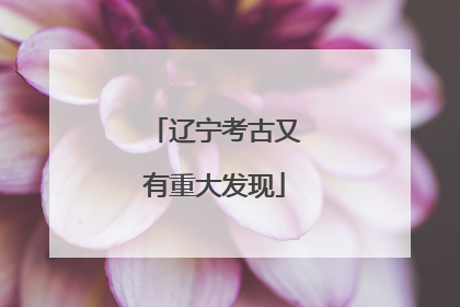 辽宁考古又有重大发现
